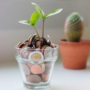 Glass cup full of coins with a seedling growing out of it.